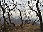 In CANTO ALTO (1146 m) da casa (Zogno, 310 m) ad anello (3mar21) - FOTOGALLERY